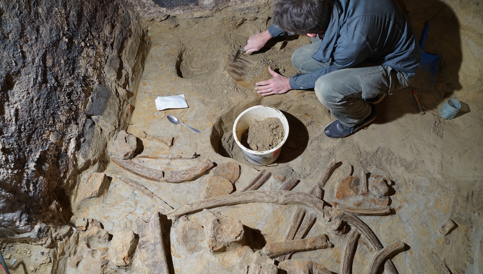 Um arqueólogo usa uma ferramenta para descobrir ossos de mamute no chão de terra
