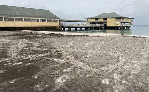 Cinzas vulcânicas em Carlisle Bay, Barbados, na areia e no sargaço lavado