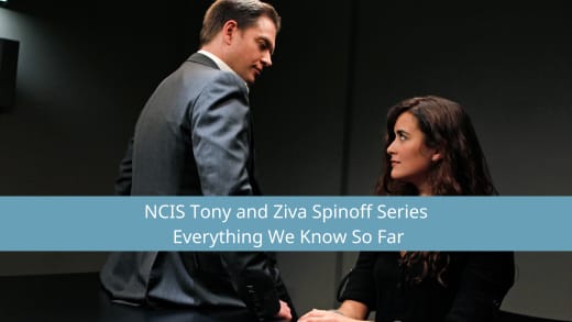 O amor está no ar entre DiNozzo e David no spinoff sem nome do NCIS