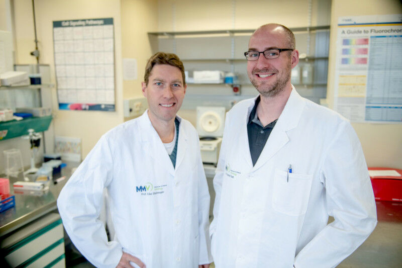 Eike Steinmann e Daniel Todt da Cátedra de Virologia Molecular e Médica