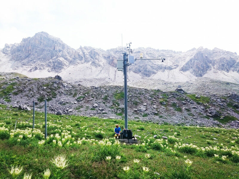 Um funcionário da SLF registra dados de vegetação em uma estação IMIS em Bäretälli, perto de