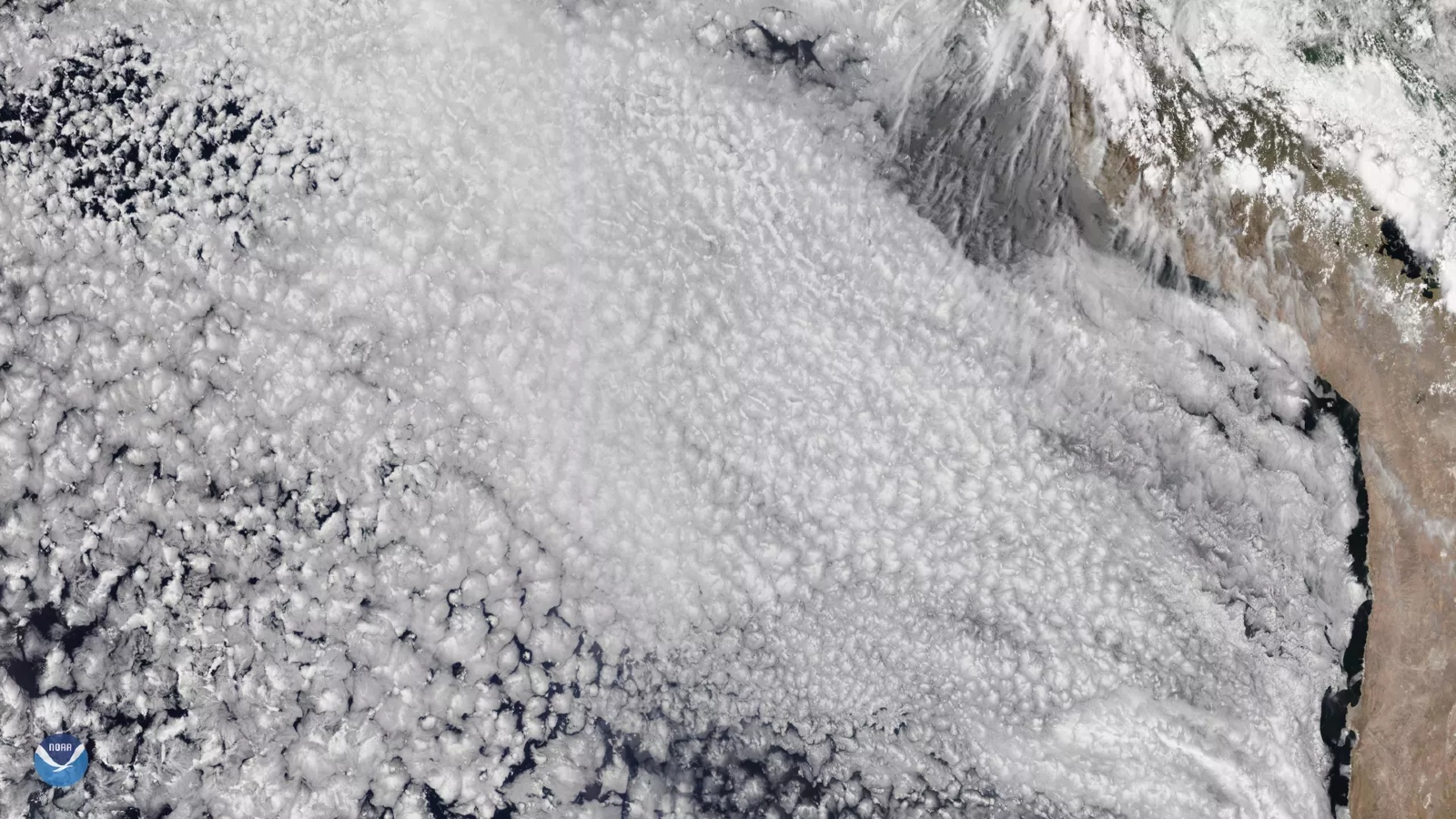 Uma imagem de satélite de uma nuvem sobre o oceano