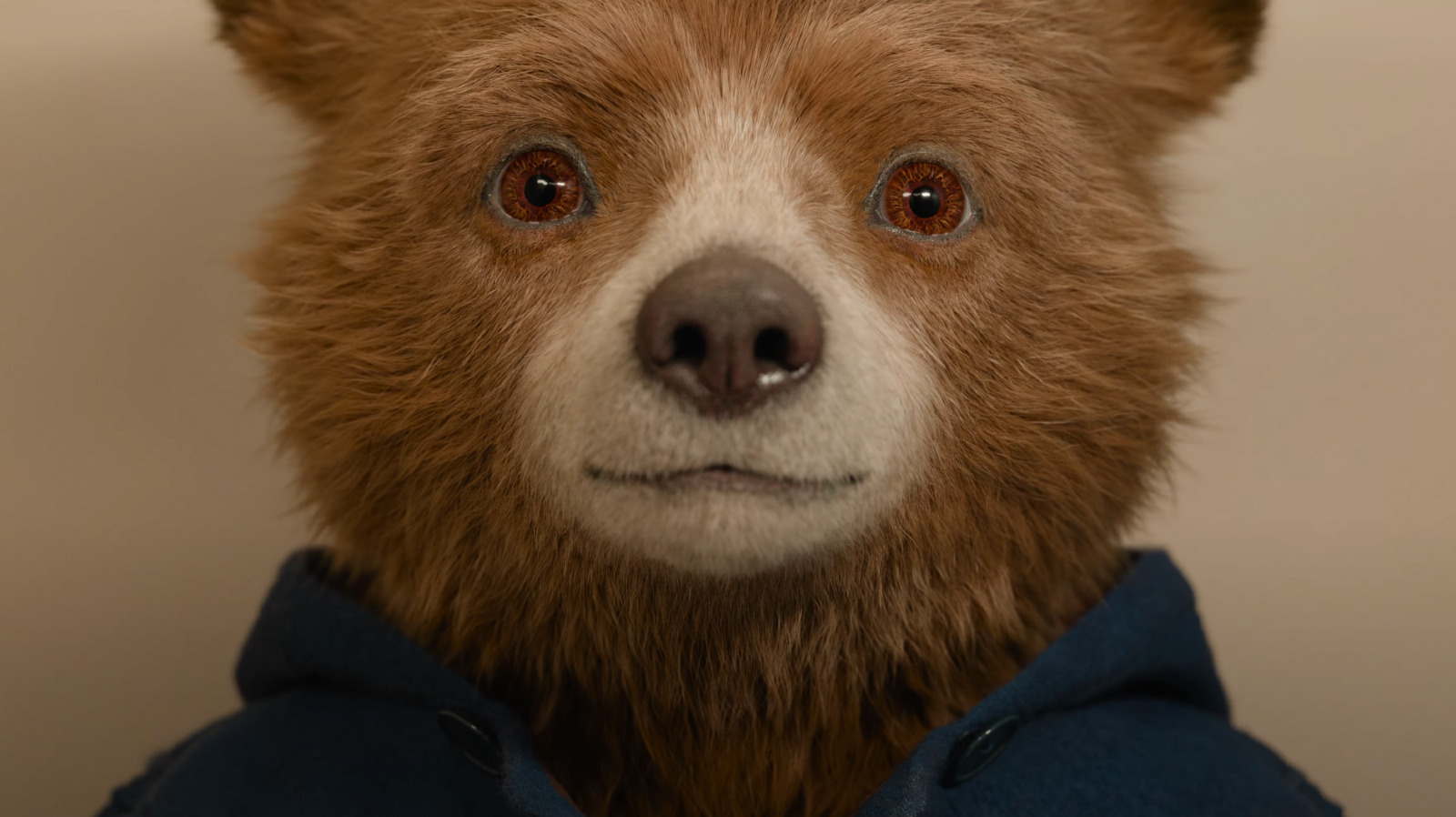 O trailer de Paddington no Peru oferece a Paddington uma aventura no estilo Indiana Jones