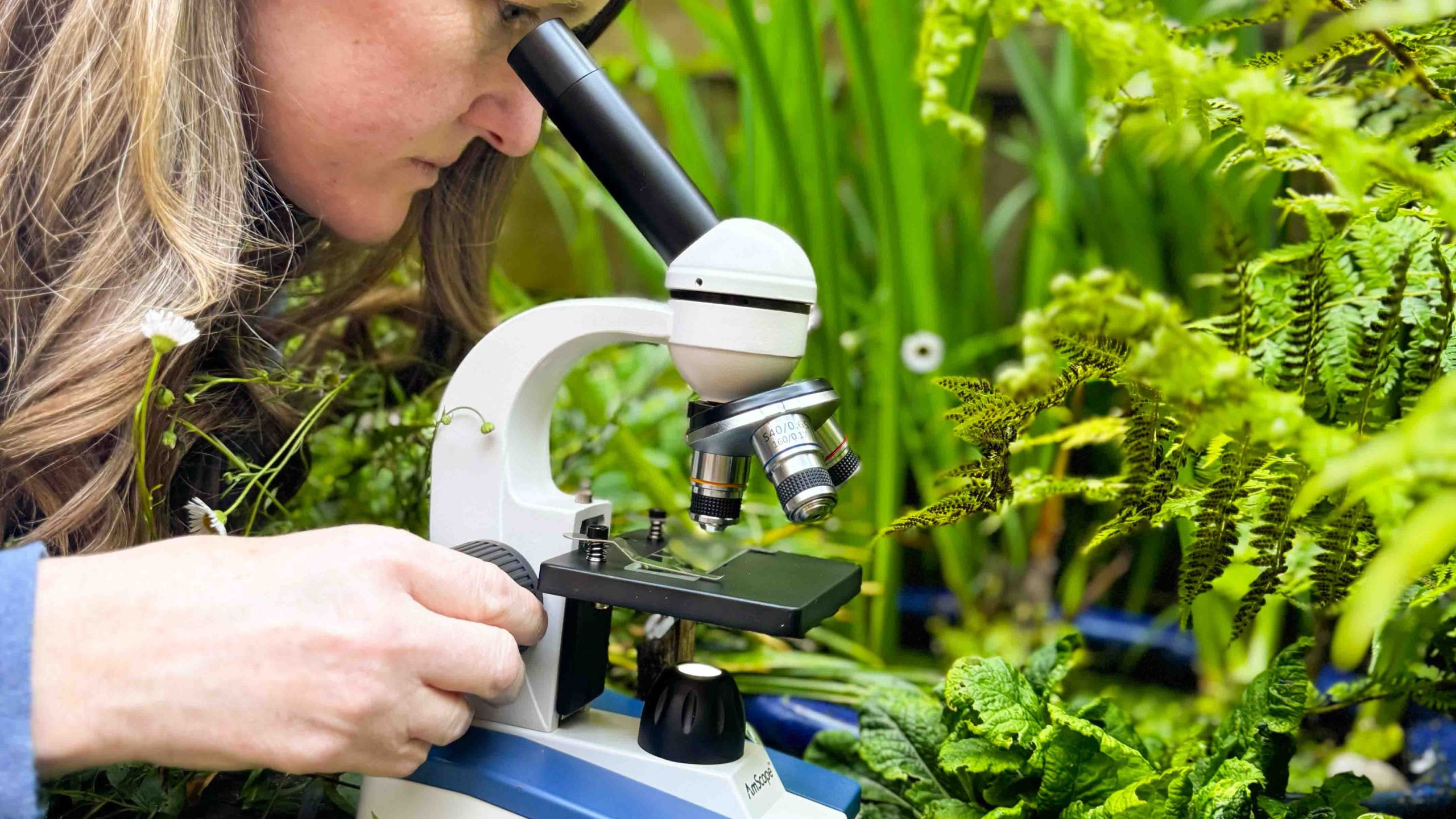 Microscope being used by the author next to a pond outside