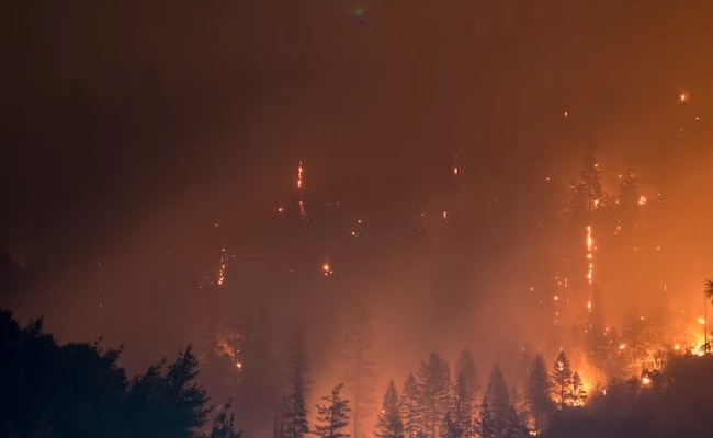 Fogos de artifício de iate provocam incêndio florestal na ilha grega, 13 presos