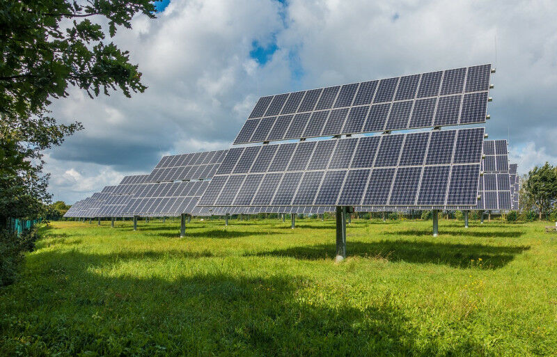 A instalação de usinas solares fotovoltaicas modifica radicalmente o ecossistema