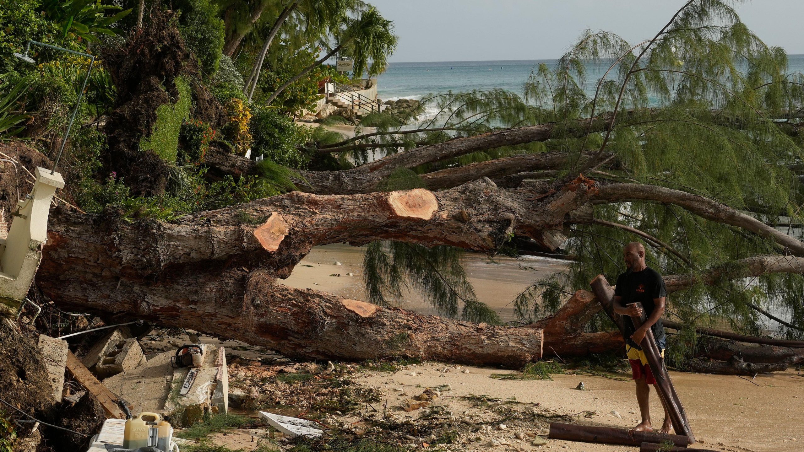 Um trabalhador corta árvores arrancadas ao longo da costa de St. James, Barbados, na terça-feira, 2 de julho.