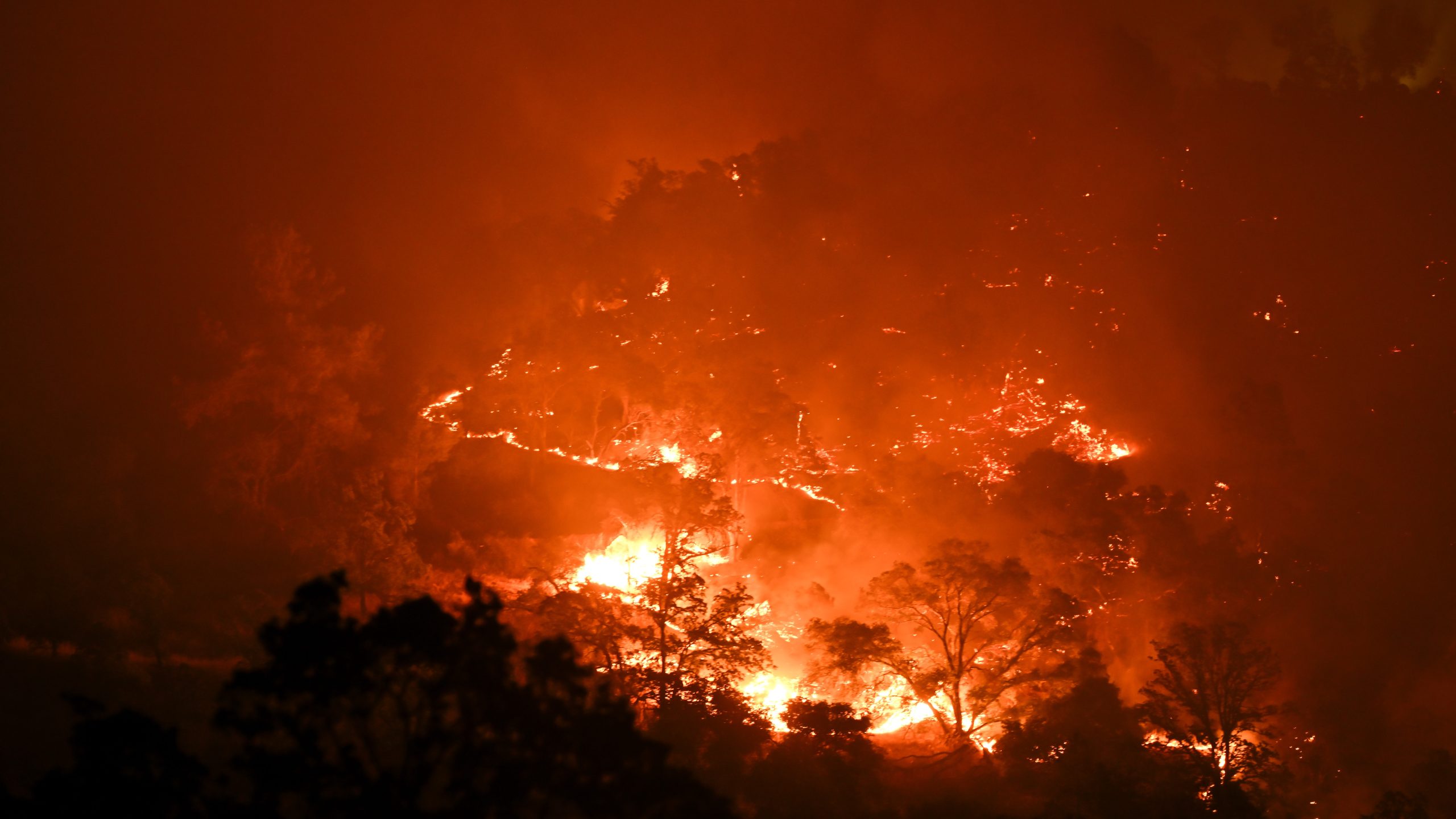 'Os últimos 12 meses quebraram recordes como nunca antes': a Terra excede 1,5 C de aquecimento a cada mês durante o ano inteiro