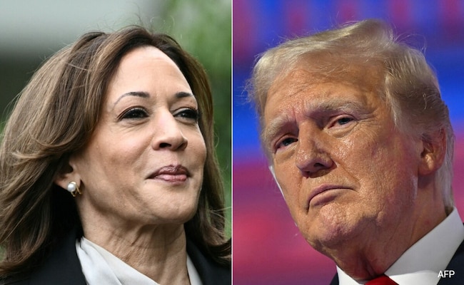 Kamala Harris diz que campanha