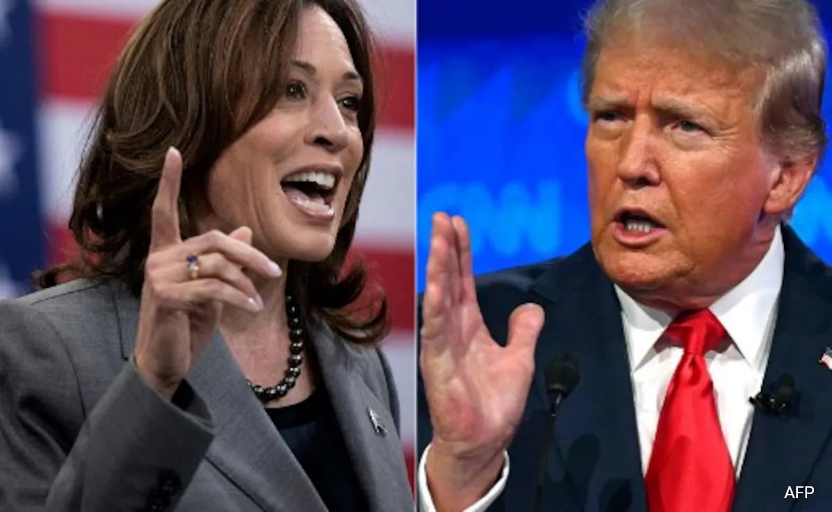 'Trump está assustado': a campanha de Kamala Harris sobre a oferta de debate da Fox News