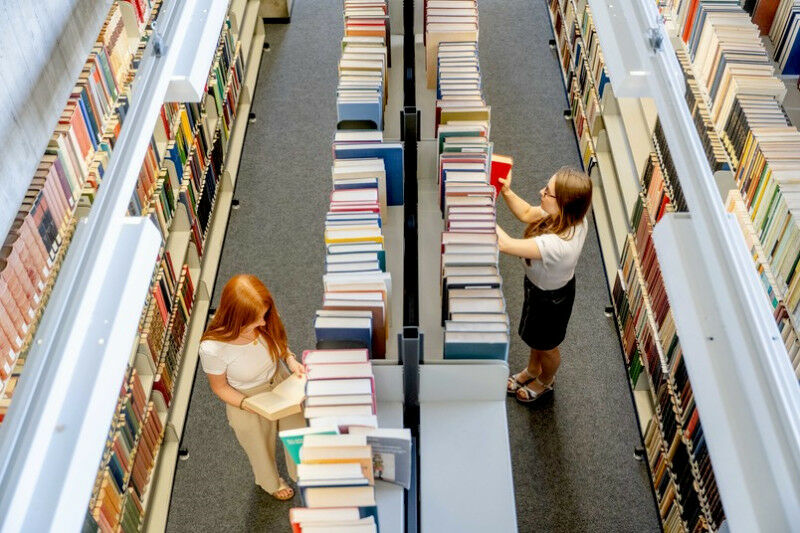 No cérebro, as memórias são armazenadas como livros em uma biblioteca bem organizada, isso é