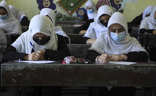 1,4 milhões de meninas afegãs proibidas de frequentar escolas desde que o Talibã voltou ao poder