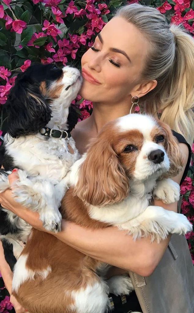 Julianne Hough e seus dois cães