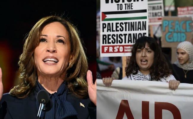 Kamala Harris não consegue influenciar os críticos pró-Palestina e pode impactar a candidatura presidencial