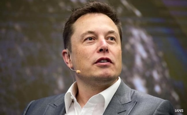 Elon Musk chama o governo australiano de