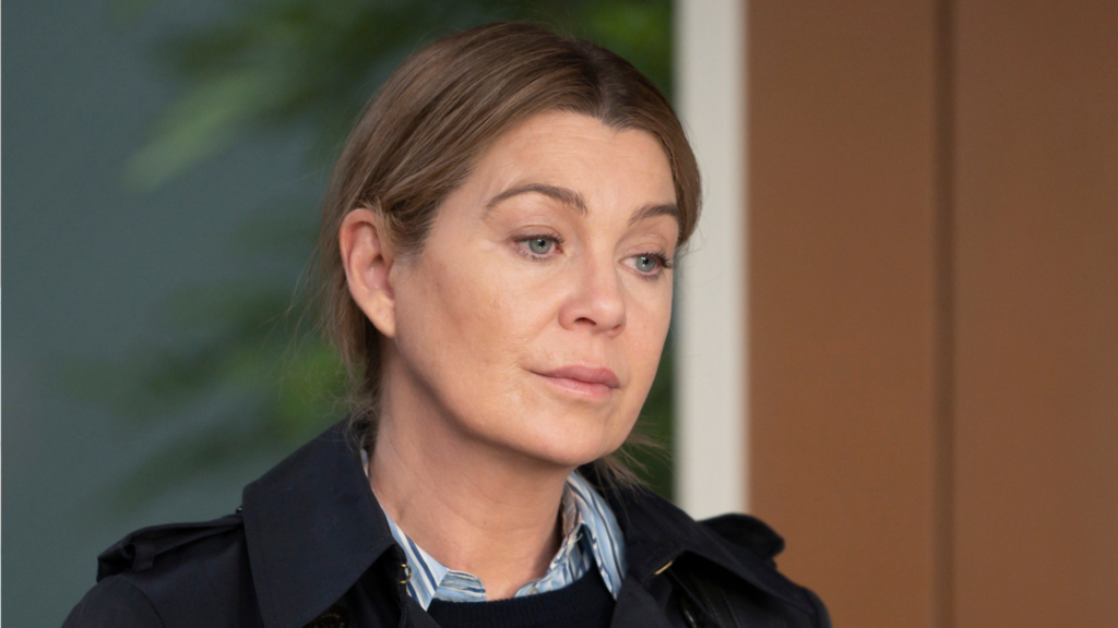 Meredith Grey na 20ª temporada de Grey's Anatomy, foto principal