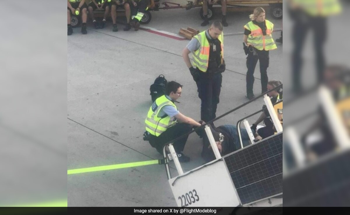 Vídeo: Voo da EasyJet é forçado a fazer pouso de emergência em Munique após passageiro bêbado causar caos no ar