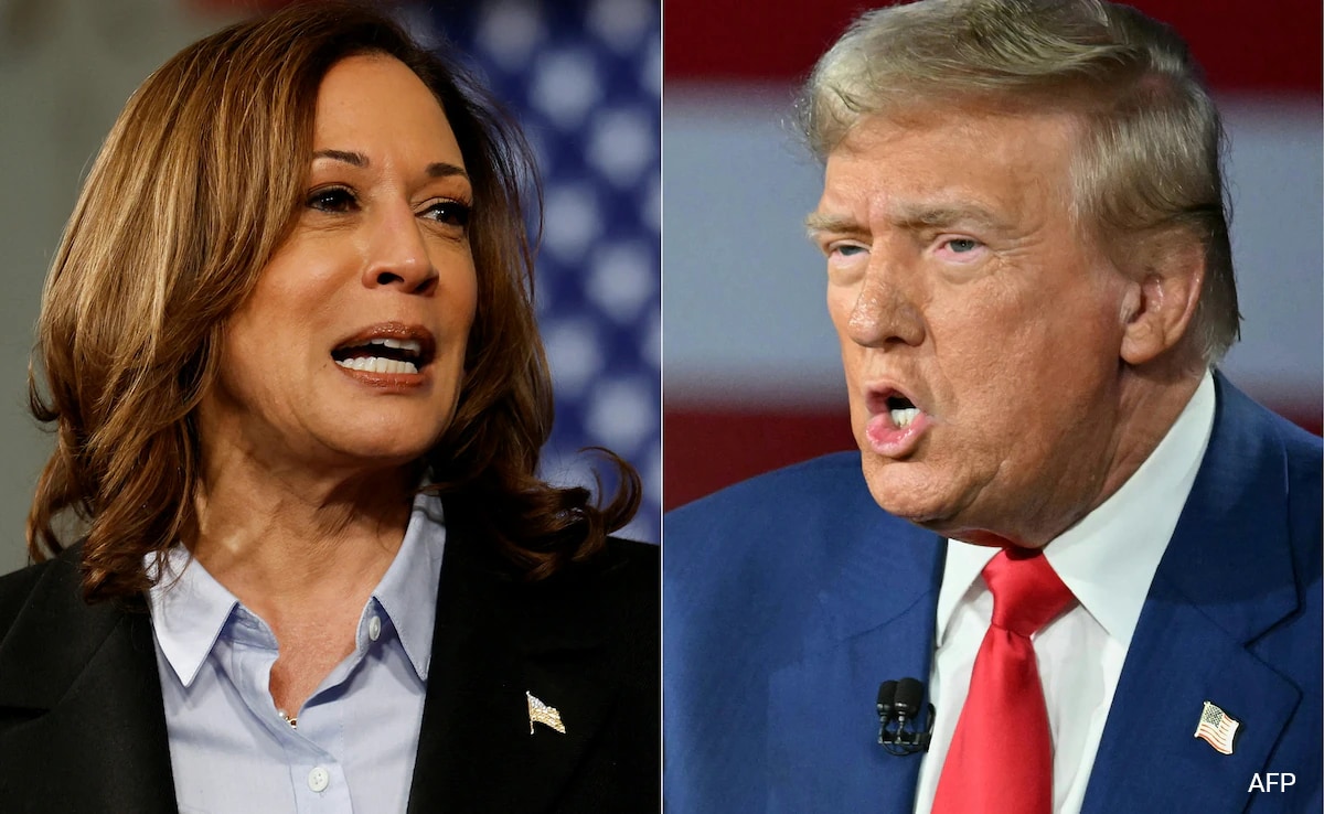 Harris lidera Trump em vários estados importantes do campo de batalha, dizem as pesquisas