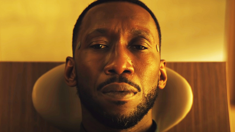 Mahershala Ali Canção do Cisne