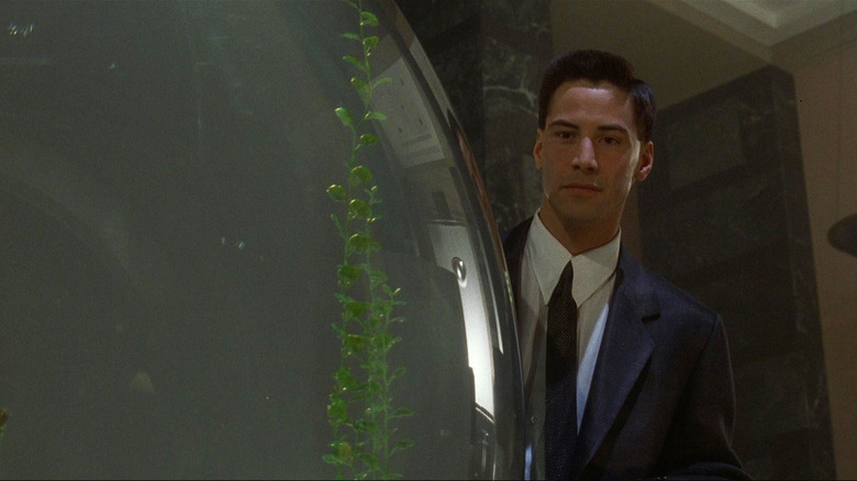 Johnny Mnemonic, aquário