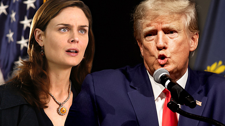 Temperança Ossos Brennan e Donald Trump