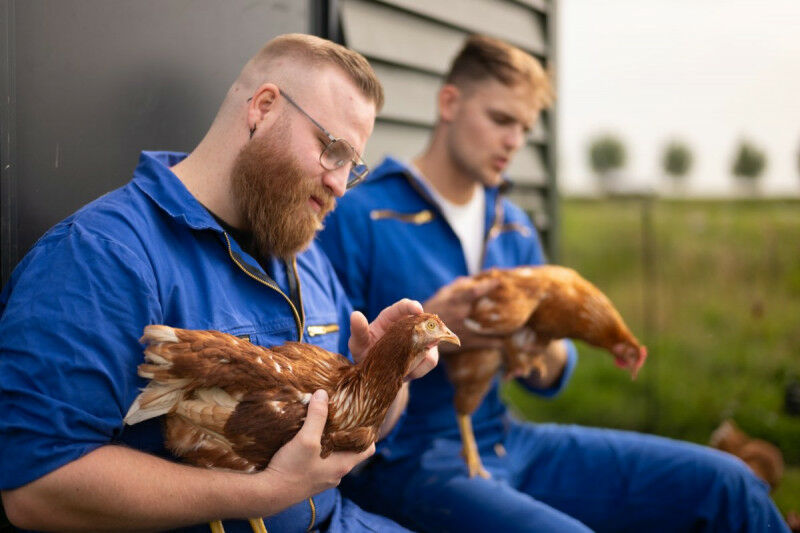 Alunos do mestrado em Medicina Veterinária Jeroen Imholz (à esquerda) e Koen Rie