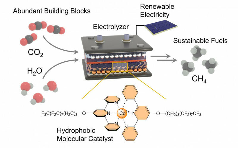 O catalisador molecular hidrofóbico (parte inferior) - mantém as moléculas de H2O no elemento