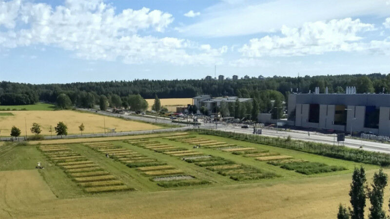 A unidade TwinWin na Finlândia, onde a cevada era cultivada sozinha ou semeada com