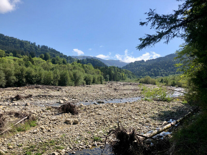 Sendo um dos poucos rios de fluxo livre remanescentes no norte dos Alpes, o Sé