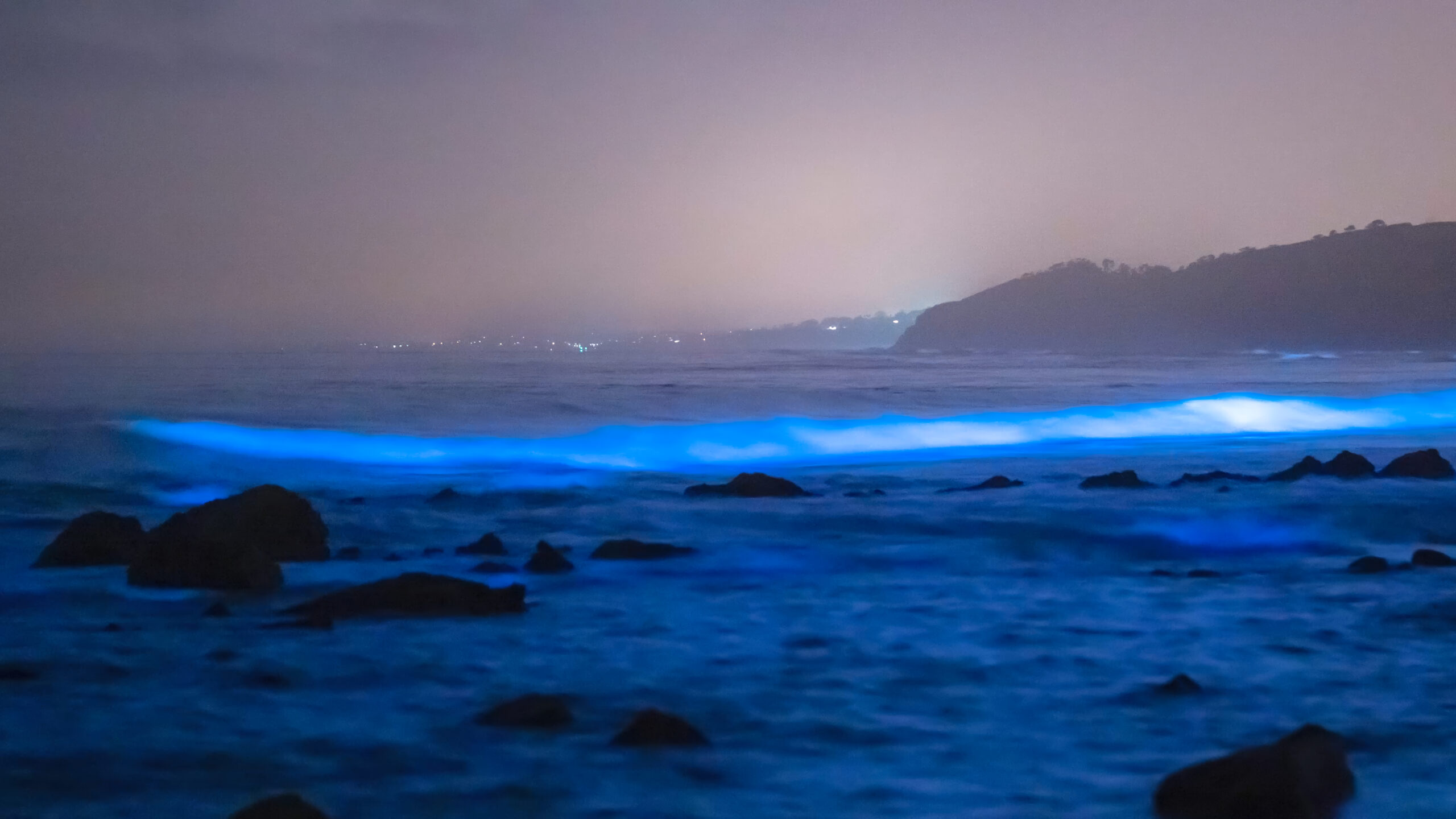 Ondas bioluminescentes na costa.