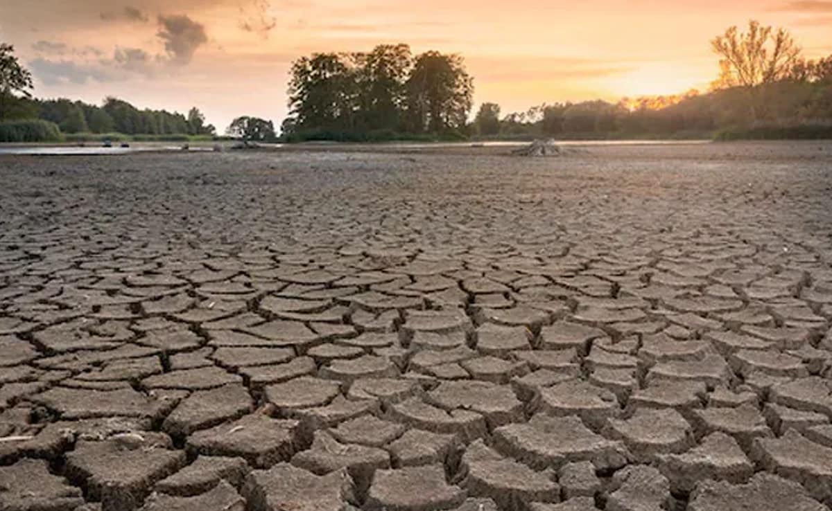 As alterações climáticas e a perda de biodiversidade devem ser abordadas em conjunto