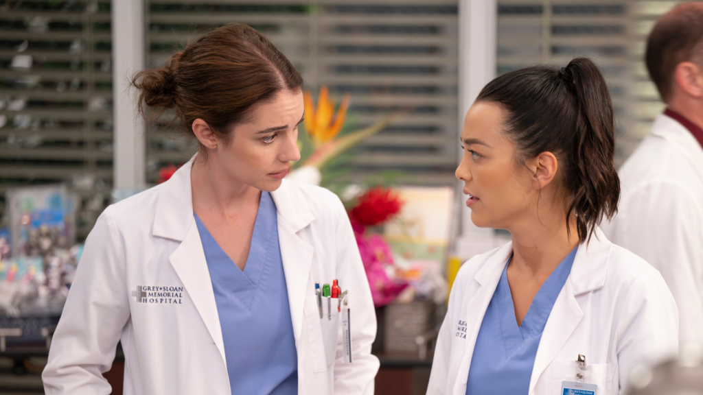 Foto principal da crítica do episódio 3 da 21ª temporada de Grey's Anatomy