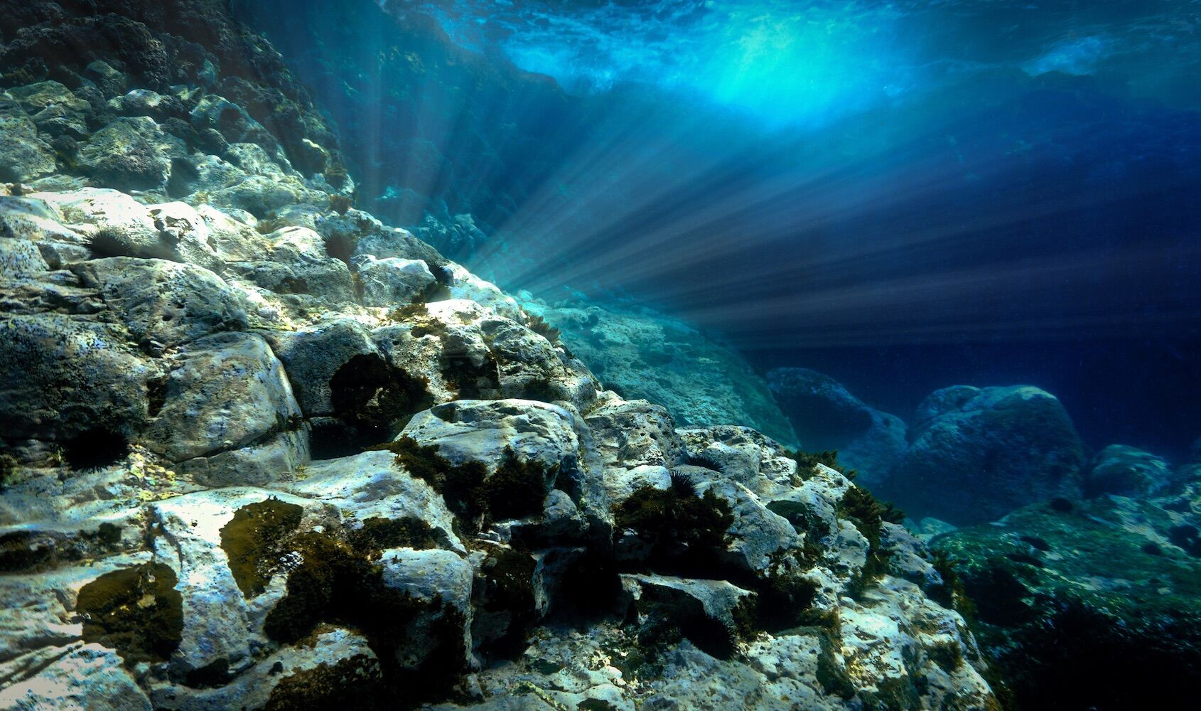 “Ondas negras”. Cientistas estão a rastrear apagões misteriosos no fundo do mar