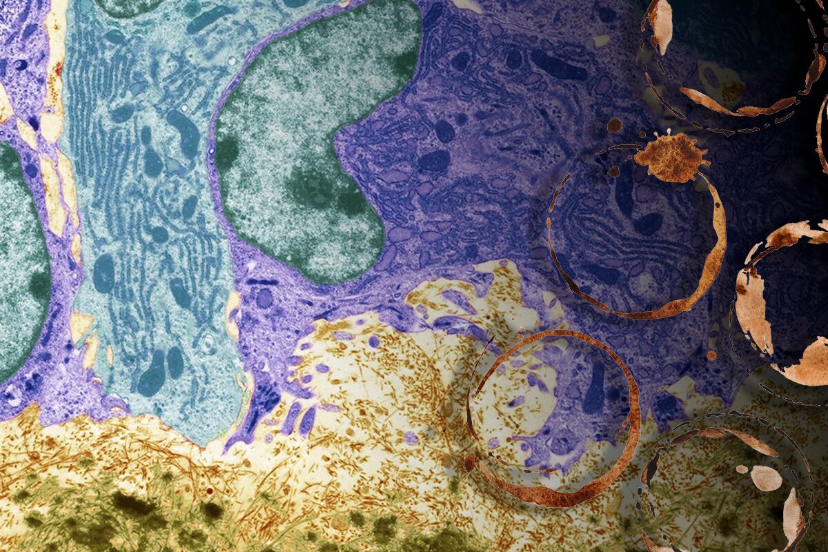 Cientistas acabam de revelar uma forma surpreendente de usar o café