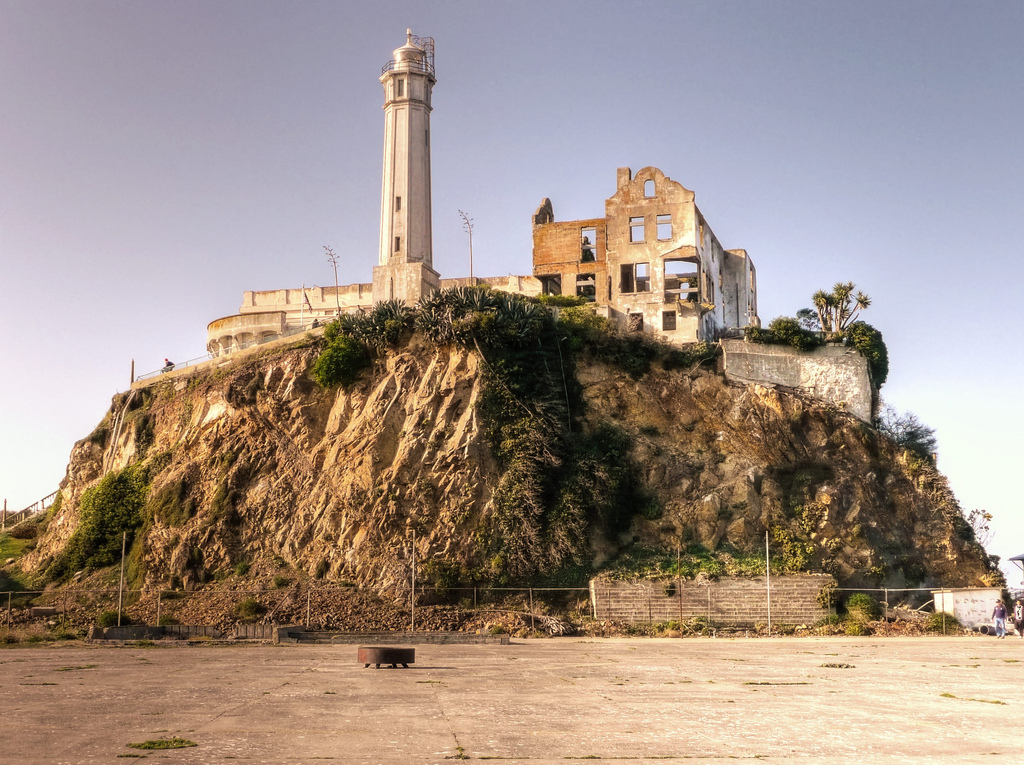 Coiote fez “travessia impossível” de Alcatraz… a nado