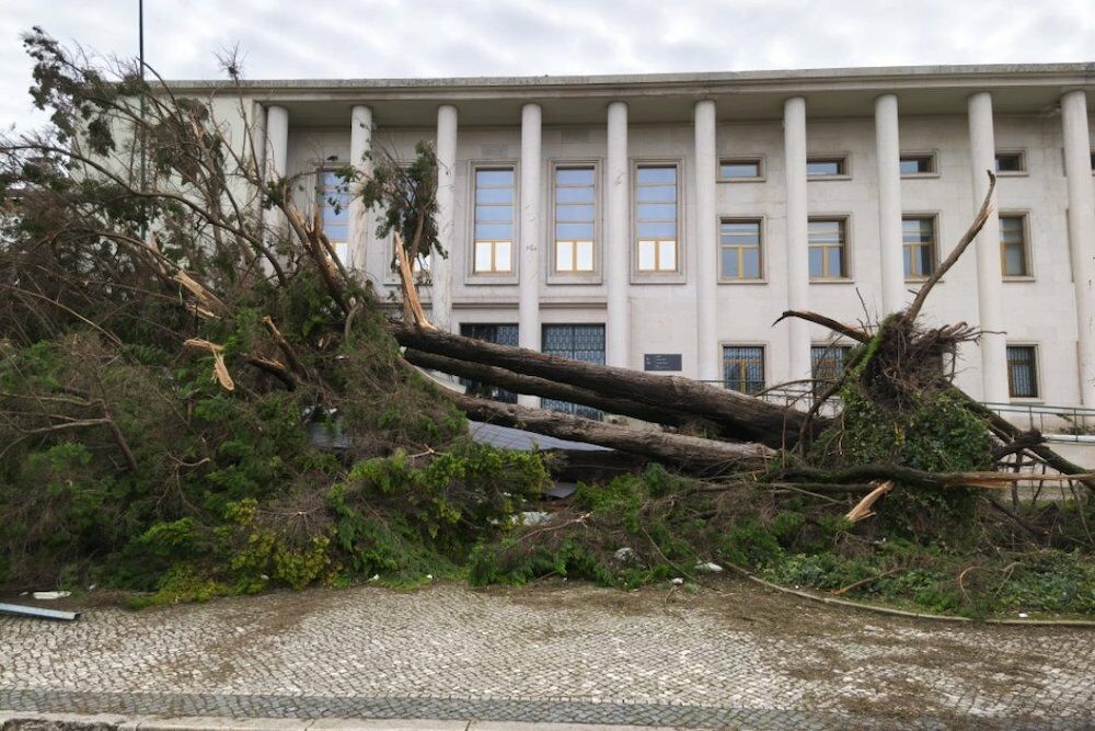 Parece que houve um sismo ou uma guerra em Leiria