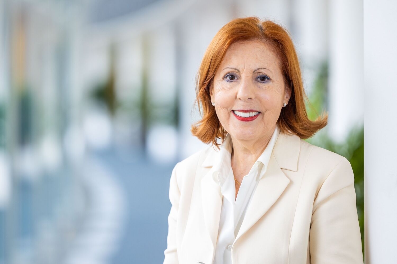 Governo vai lançar apoio para a compra de painéis solares para famílias