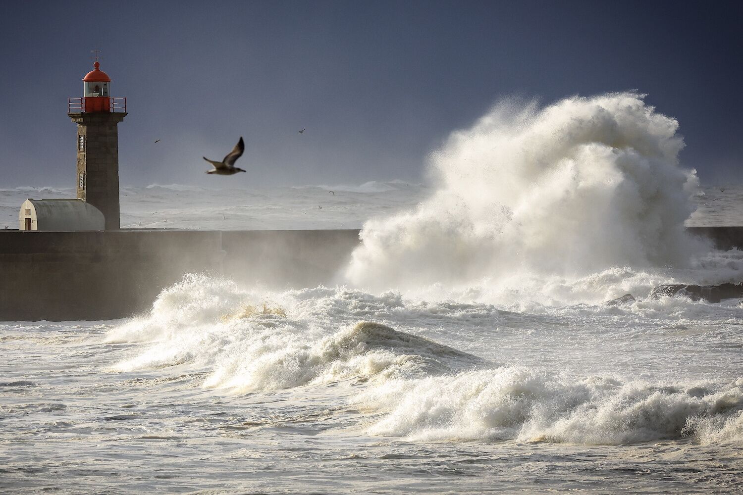 Ingrid fecha escolas, baixa preço da luz e pode erguer hoje o “mito” de 30 metros na Nazaré