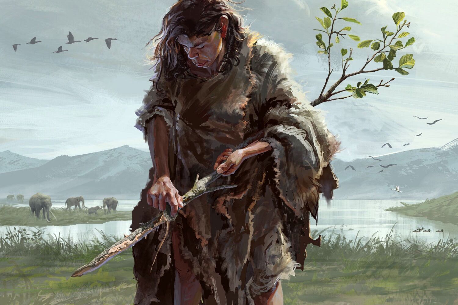 Descoberta a ferramenta de madeira mais antiga da Humanidade. É um pau com 430 mil anos