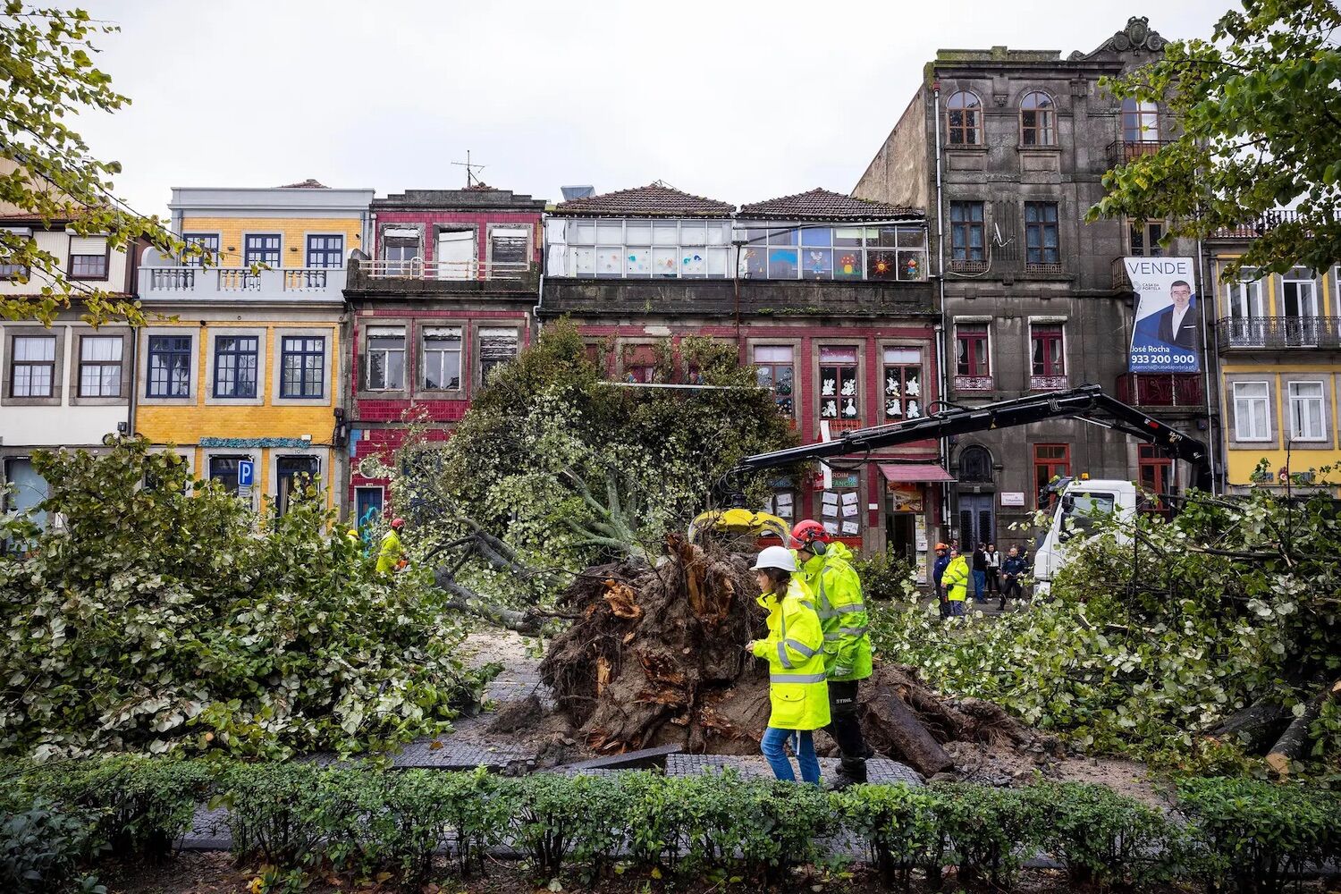 “Esperar pela certeza”. Porque os desastres acontecem, apesar dos alertas precoces?