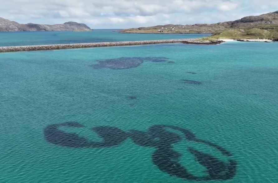 Apareceram debaixo do mar centenas de “donuts” gigantes. Os cientistas não sabem explicar