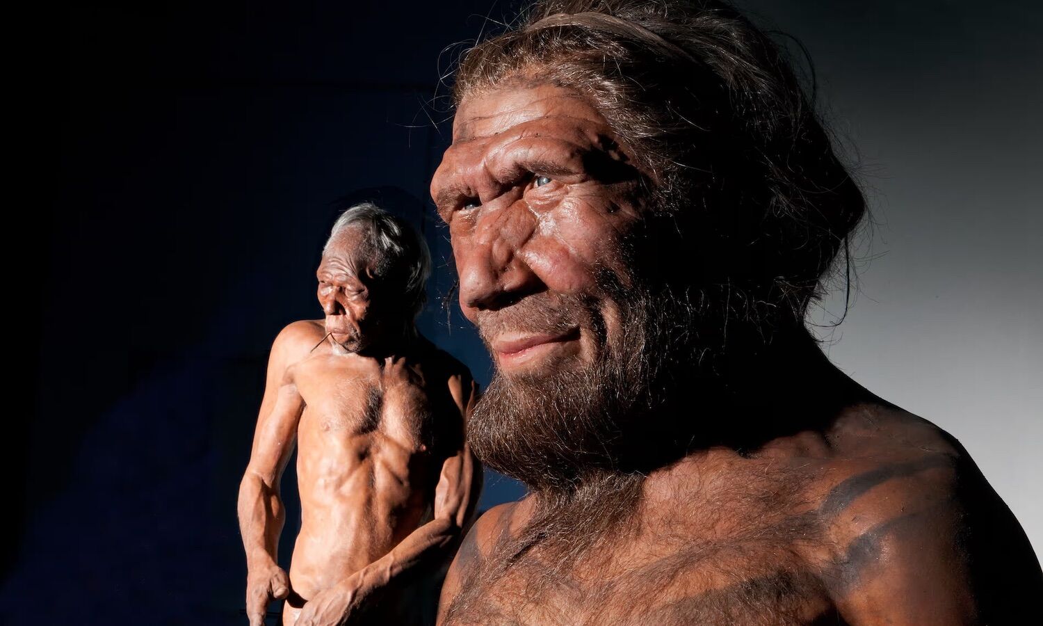 Homo sapiens fizeram sexo com neandertais por quase todo o mundo (em Portugal não)