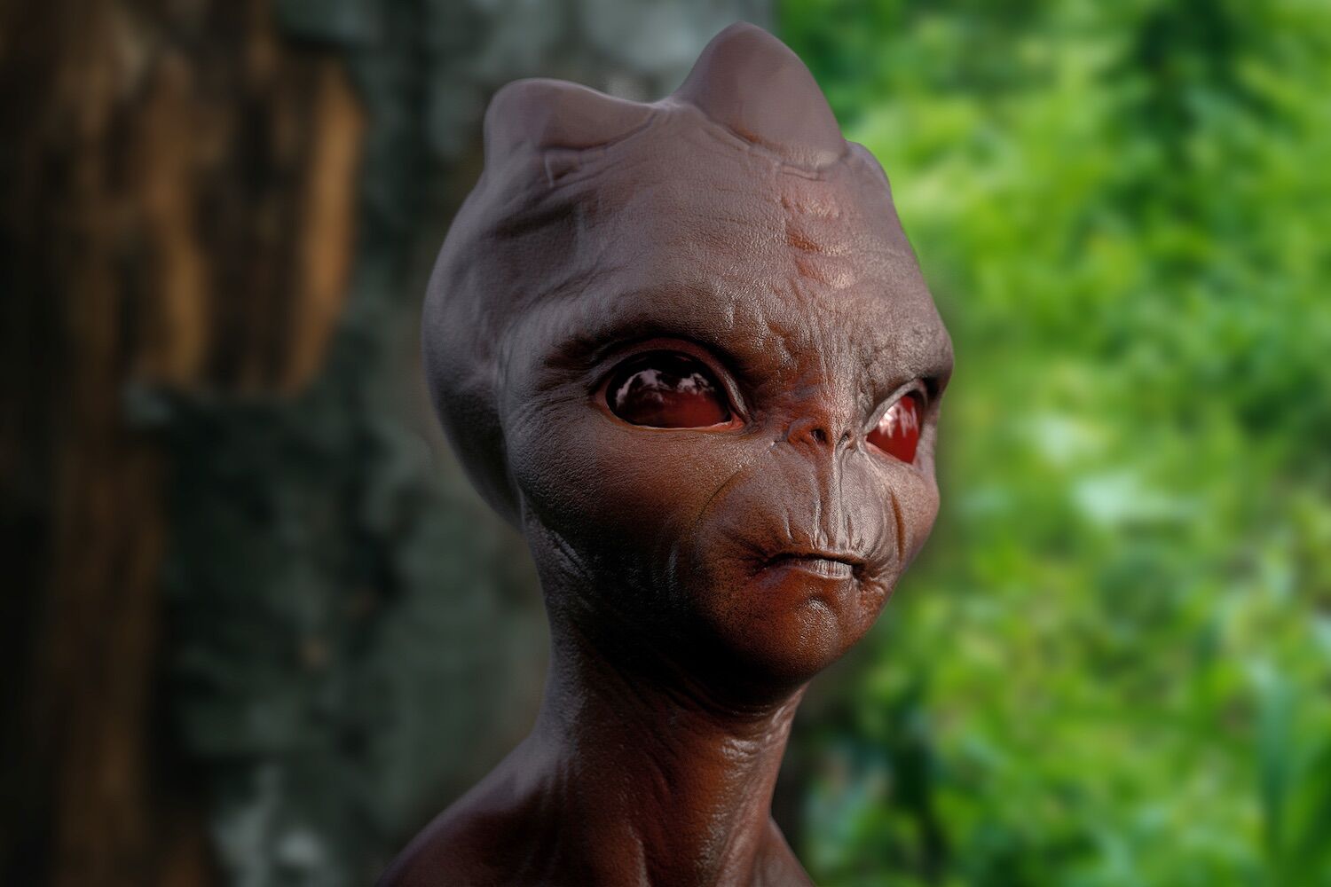 30 anos depois, o histórico caso do OVNI de Varginha chegou ao Congresso dos EUA