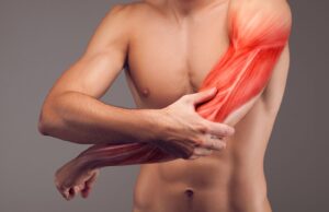 Cientistas descobrem como as estatinas prejudicam os músculos — e como evitá-lo