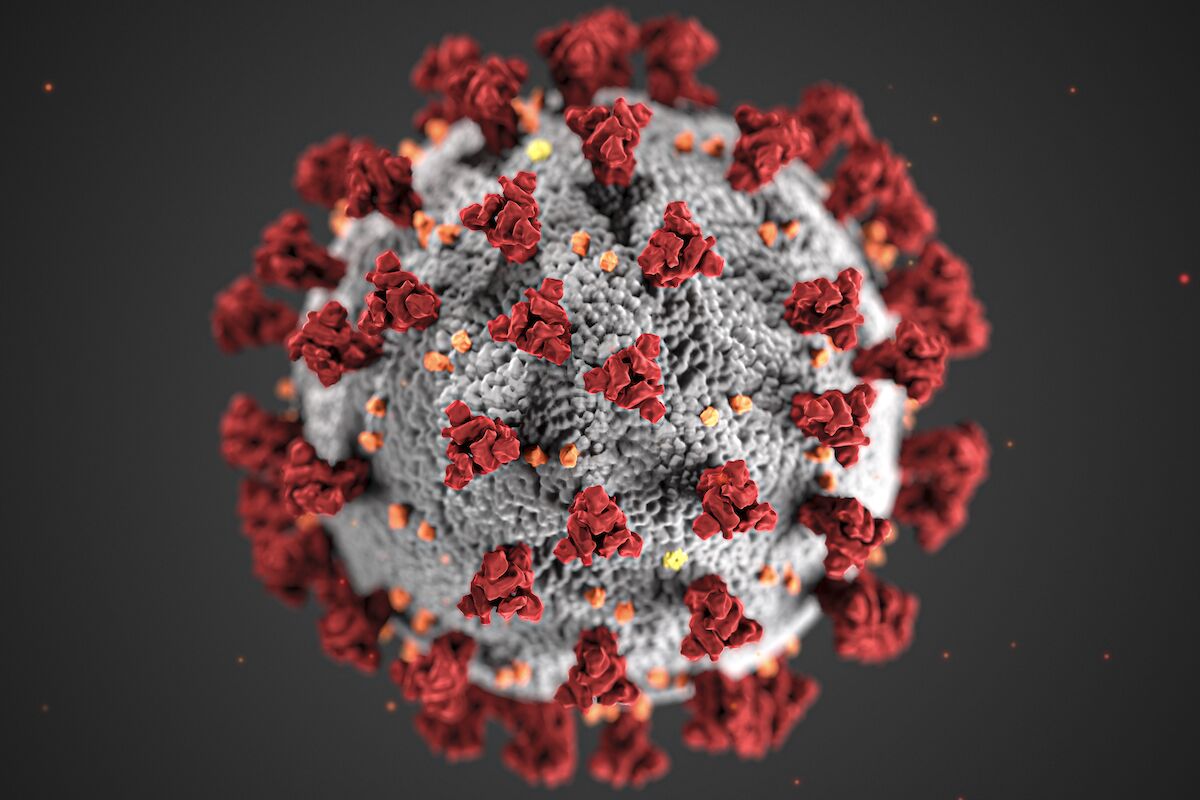 Estudo descobre que restos “zombie” de covid-19 matam as nossas células imunitárias em bando